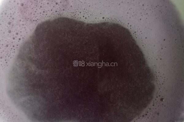 胭脂萝卜的做法图解4
