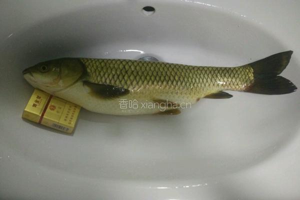 麻辣水煮鱼的做法图解2