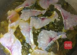 酸菜鱼的做法图解9