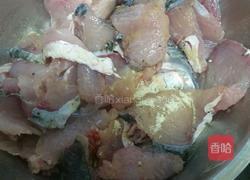 酸菜鱼的做法图解4
