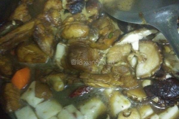 鸡肉炖蘑菇的做法图解7