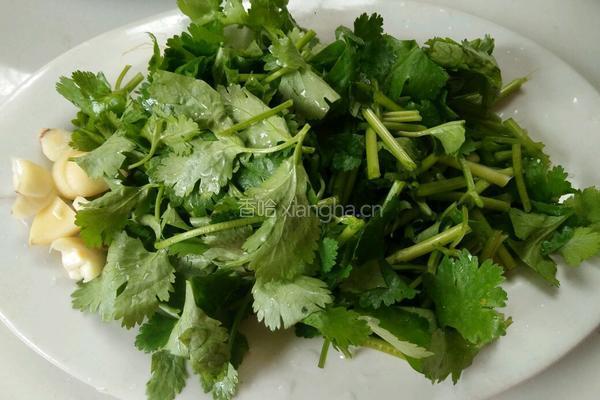 酸辣滑菇的做法图解5