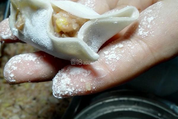 大白菜香菇猪肉饺子的做法图解18
