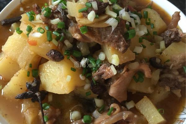 土豆焖牛腩的做法图解8