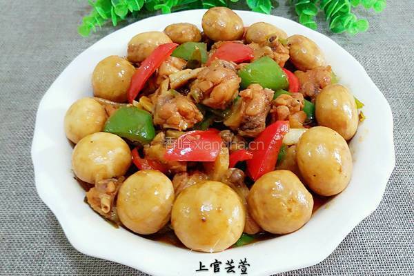 小鸡采蘑菇的做法图解13