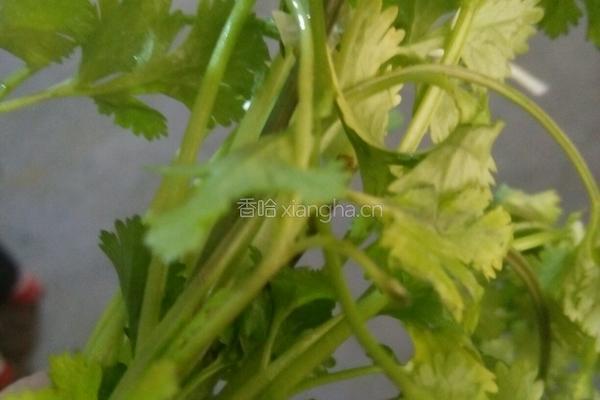 烧白菜的做法图解4