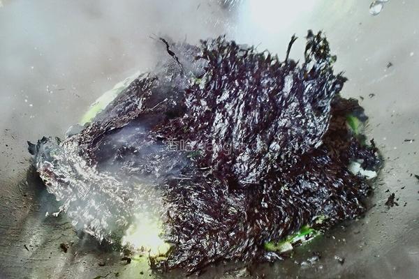焖紫菜的做法图解5