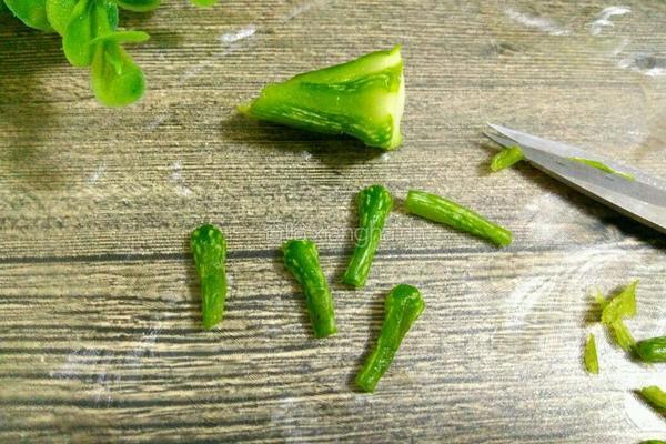 小南瓜点心的做法图解15