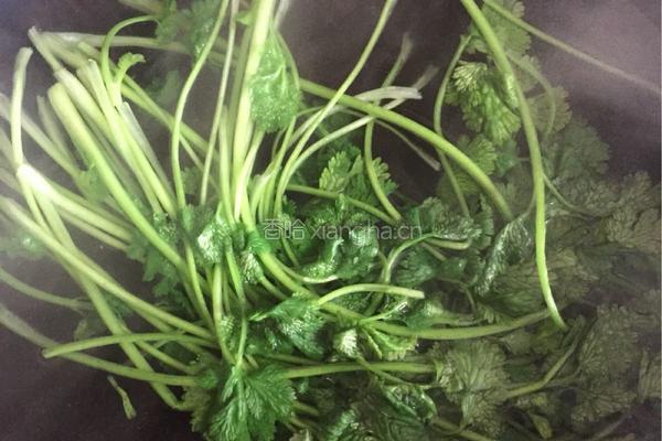 碧玉腐皮卷的做法图解5