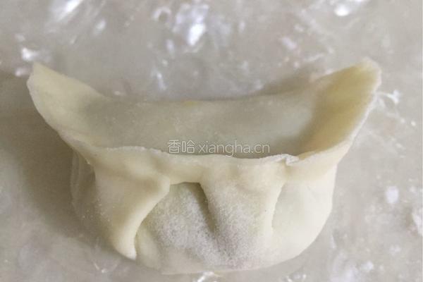 萝卜丝素馅饺子的做法图解21