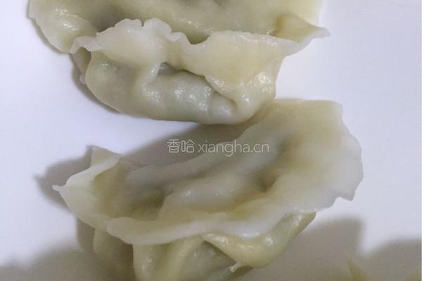 萝卜丝素馅饺子的做法图解24