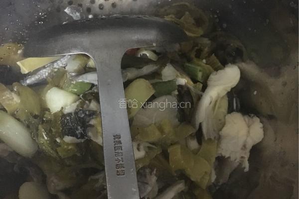 酸菜鱼的做法图解5