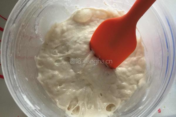 热狗面包（波兰种）的做法图解1