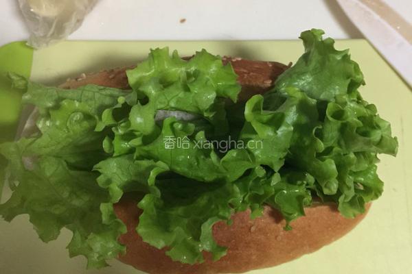 热狗面包（波兰种）的做法图解14