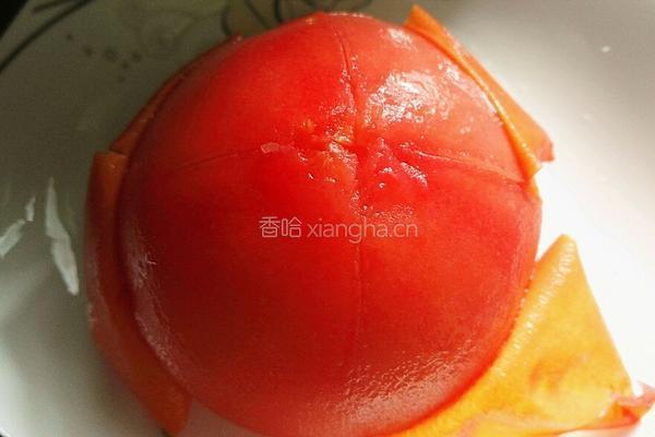 番茄浓汁烧豆腐的做法图解6