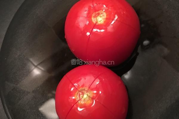 番茄焖红衫鱼的做法图解2