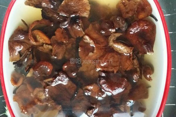 小鸡炖蘑菇的做法图解5