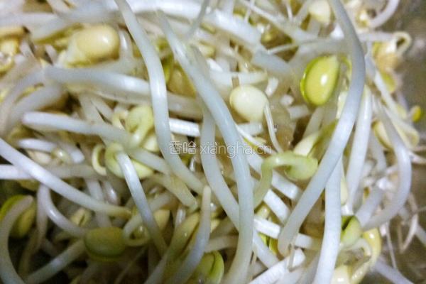 豆芽面的做法图解1