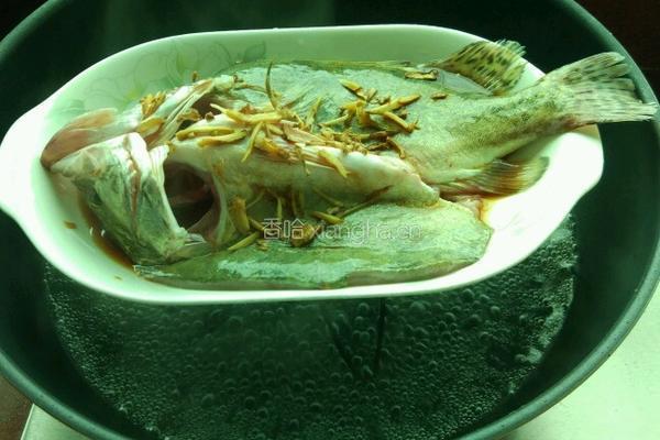 清蒸桂花鱼的做法图解3