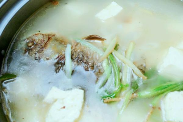 鸡蛋豆腐鲫鱼汤的做法图解17