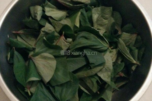 红薯叶饼的做法图解1