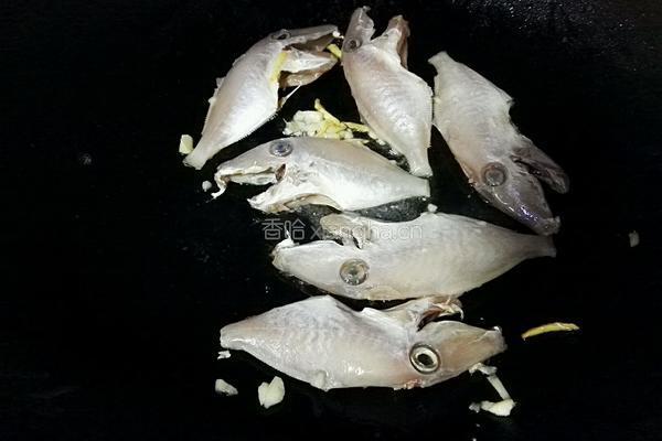剥皮鱼煮芹菜的做法图解4