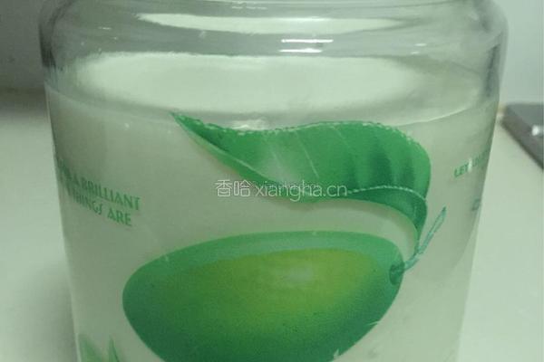 蓝莓酸奶的做法图解3