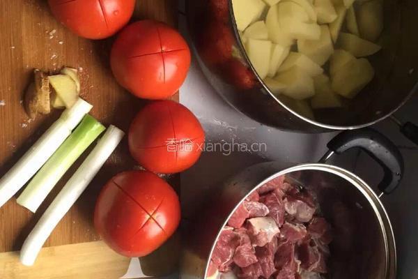 番茄土豆炖牛肉的做法图解1