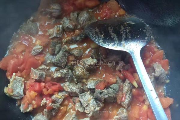 番茄土豆炖牛肉的做法图解5