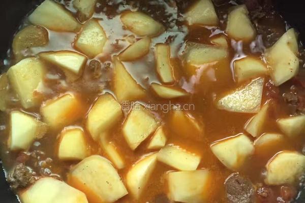 番茄土豆炖牛肉的做法图解7