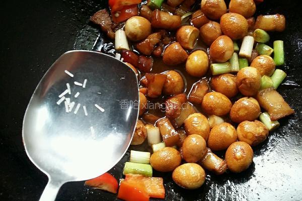 蒜香五花肉烧鹌鹑蛋(浓汁版)的做法图解20