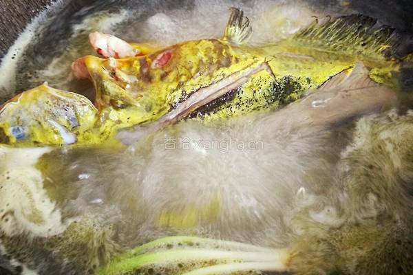 豆腐黄骨鱼汤的做法图解5