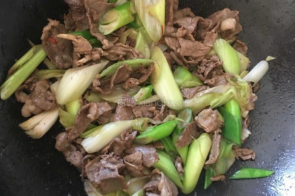 葱爆羊肉的做法图解5