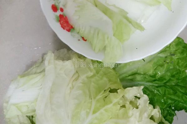 白菜包包的做法图解6
