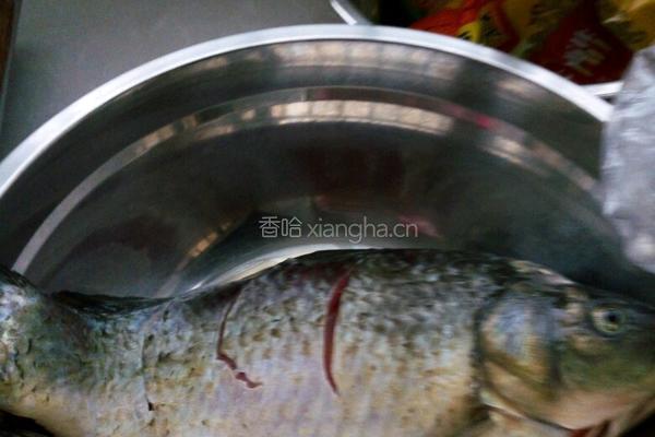 密方红烧鱼的做法图解2