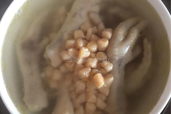 凤爪炖干贝的做法图解7