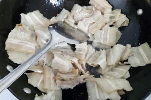 蒜苗豆氏回锅肉的做法图解4