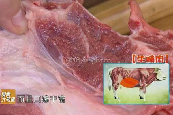 CCTV7食尚大转盘 番茄牛腩的做法图解1