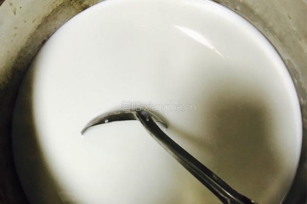 椰奶冻（极其简单）的做法图解4