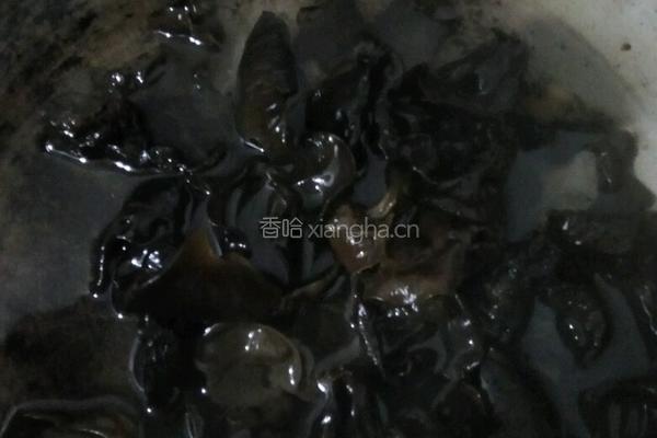 炒猪肝的做法图解3