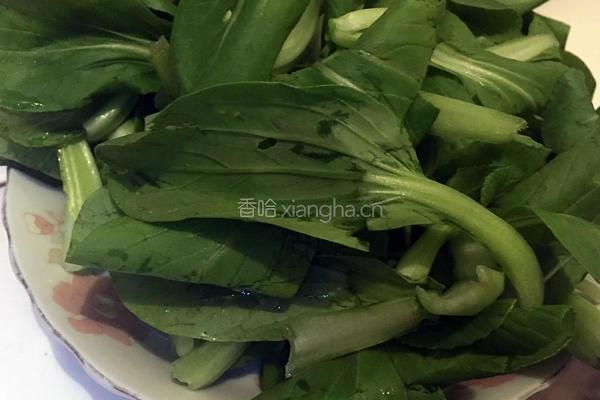 蘑菇小油菜的做法图解2