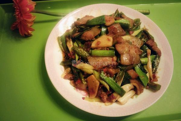 回锅肉
