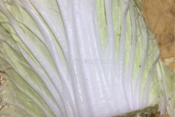 白菜卷的做法图解1