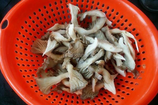 炸鲜蘑的做法图解2