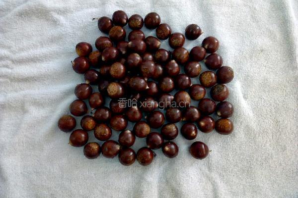 烤箱版锥栗的做法图解4