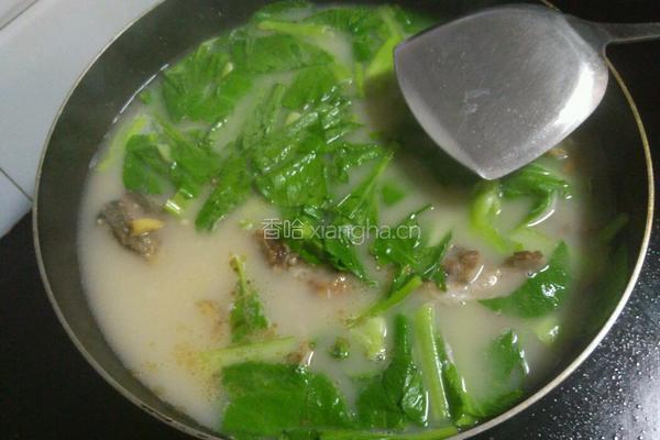 鱼头鱼尾青菜汤的做法图解10