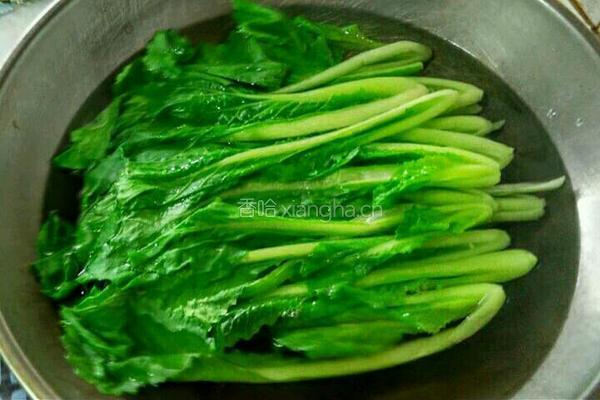 白灼小白菜的做法图解7