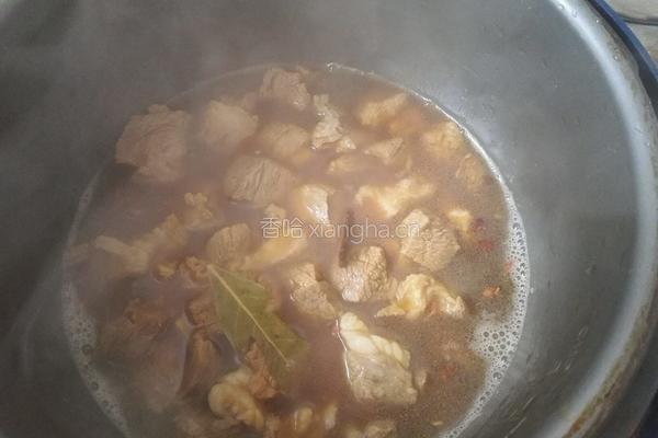 红焖羊肉的做法图解7