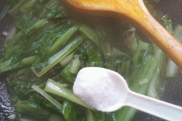 蒜蓉油麦菜的做法图解6