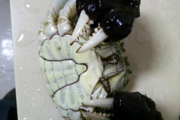 蒸螃蟹的做法图解1